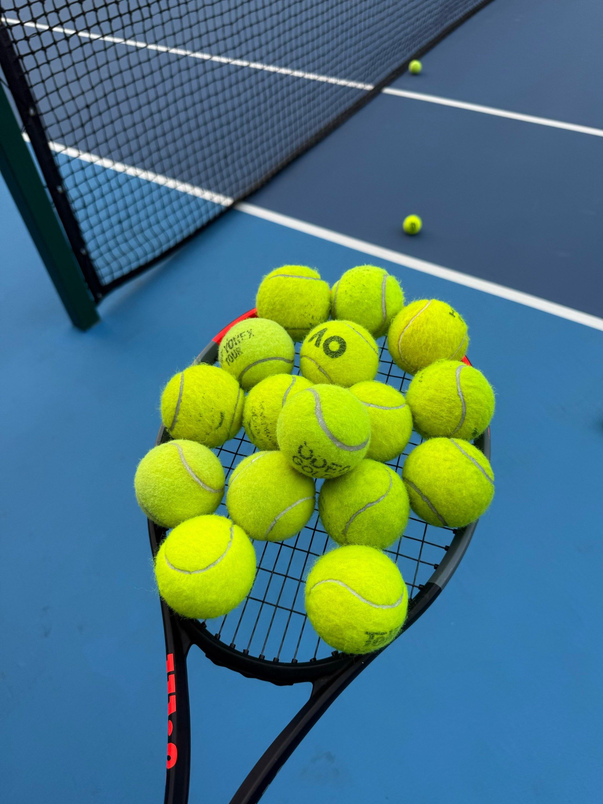 轻球员们展 轻球员们展