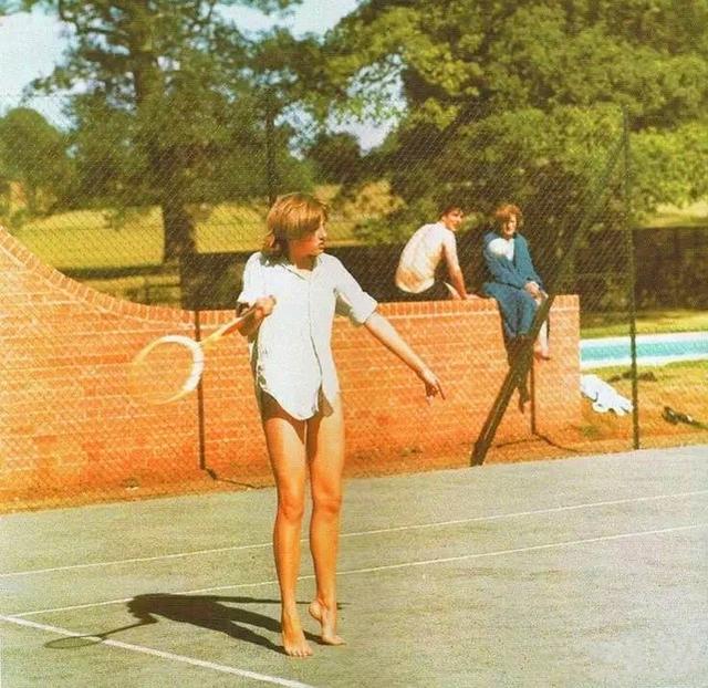 情感与理性 情感与理性