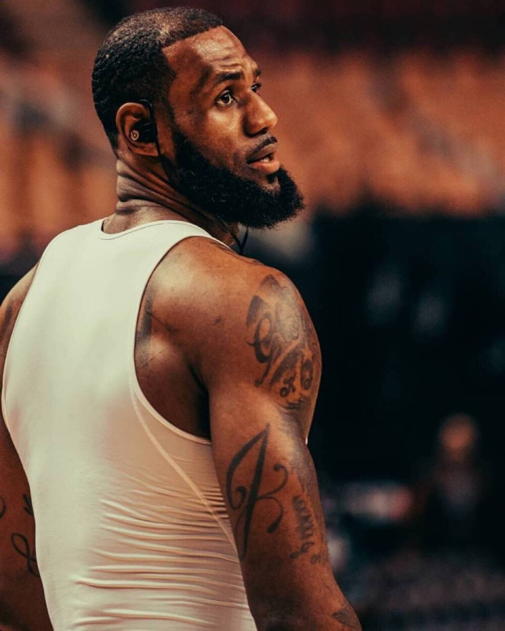 粉丝关心的 粉丝关心的